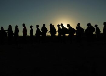 The Democratic Party’s illegal parallel immigration system