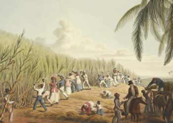 The Nobel for Econsplaining