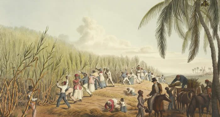 The Nobel for Econsplaining