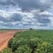 The Past, Present and Future of Soy in South America