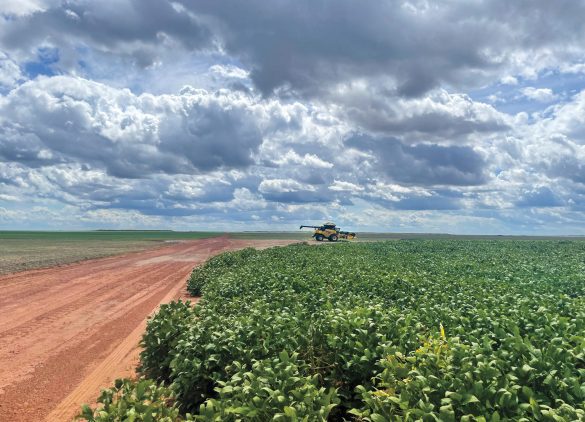 The Past, Present and Future of Soy in South America