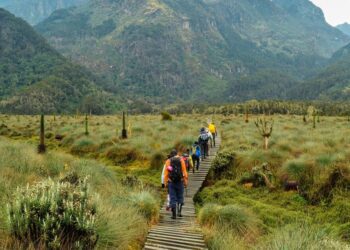 The five African countries where it's illegal to wear one item of clothing | World | News