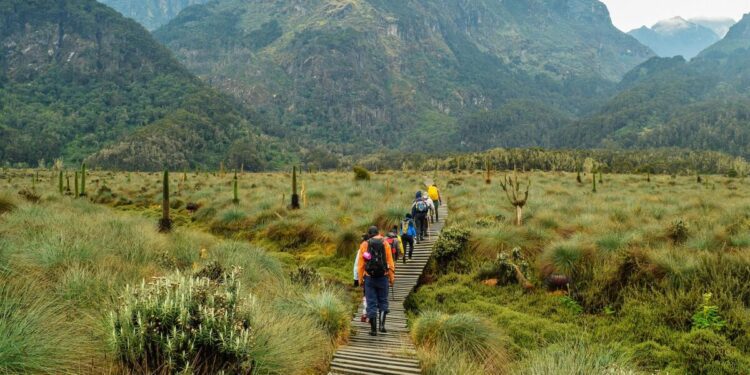 The five African countries where it's illegal to wear one item of clothing | World | News