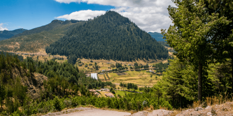 The imperative for coherence: Deforestation and trade policies in Peru, the U.S. and EU