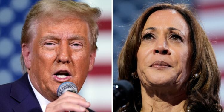 The seven swing states that will decide the US presidency