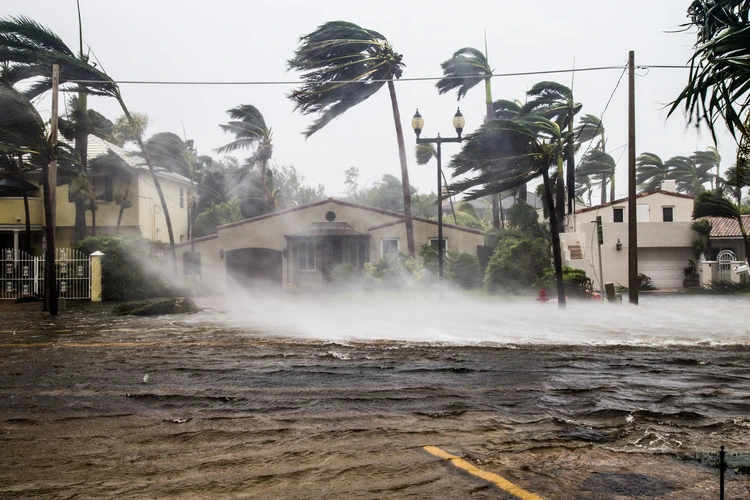 Hurricane with palm trees blowing in the wind.