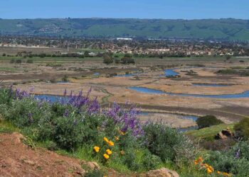 This City Was Just Named Least Stressed in the U.S.