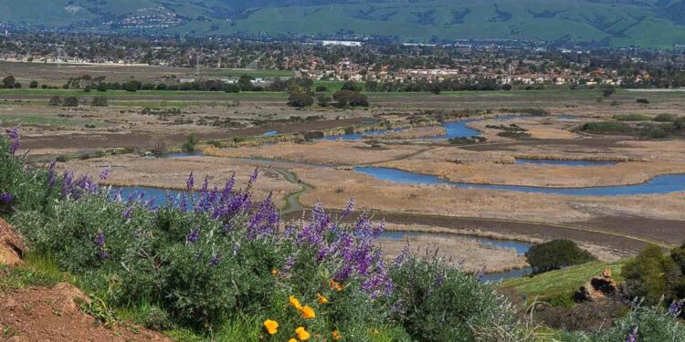 This City Was Just Named Least Stressed in the U.S.