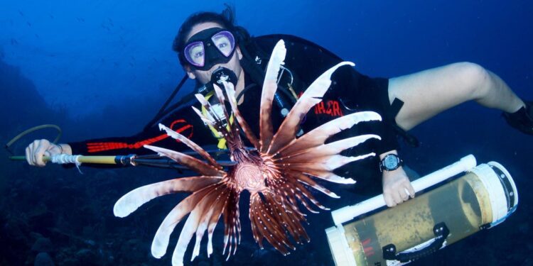 This Is How Curaçao Is Becoming A Sustainable Tourism Destination