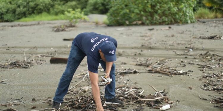 La liberación de estas tortugas marinas resalta la importancia de cuidar las costas. Foto: Cortesía