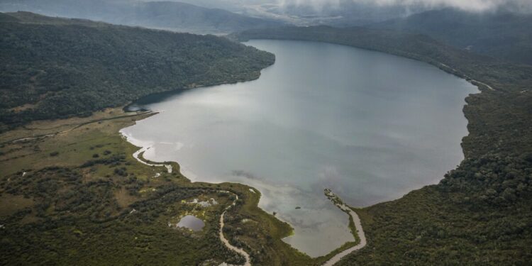 To save nature, world leaders aim to turn words into action at biodiversity summit