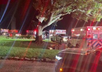 Toxic mushrooms send 11 people to hospital in Central Pennsylvania