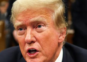 Trump Reportedly Withheld Aid to California Wildfire Victims Until Shown GOP Voter Data, Sparking Outrage