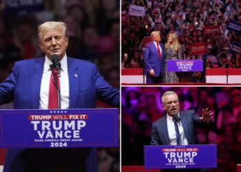 Trump's new coalition of MAGA 'Avenger' allies gather to back their 'Captain America' at MSG