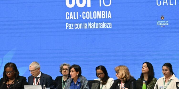 General view of the opening ceremony of the COP16 summit in Cali, Colombia, on October 21, 2024. The world's biggest nature protection conference opened in Colombia