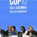 General view of the opening ceremony of the COP16 summit in Cali, Colombia, on October 21, 2024. The world's biggest nature protection conference opened in Colombia