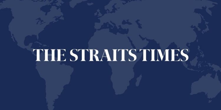 US election key to Latin American remittance-based economies, Fitch says