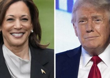 US election prediction: US Election Forecast: Historian predicts the winner of Kamala Harris vs. Donald Trump battle