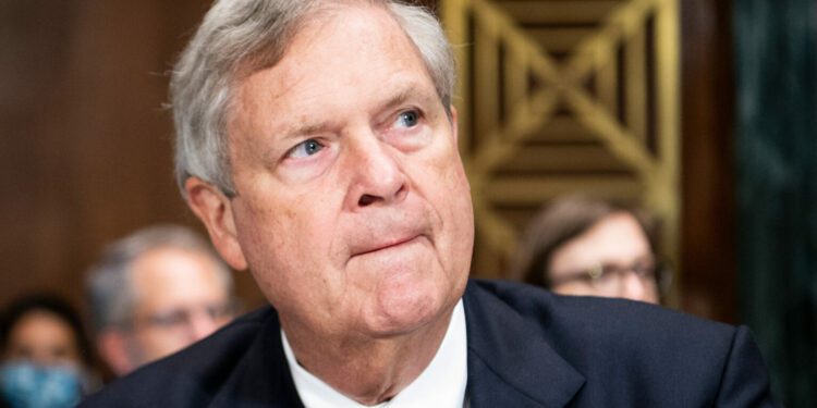 USDA offers clean energy funding, including swing-state projects