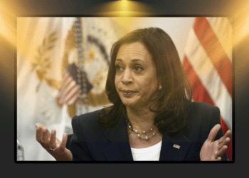 Was VP Harris Ever Appointed US 'Border Czar'? It's Complicated