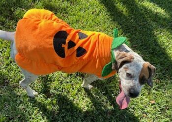 What's happening in America's oldest city in October