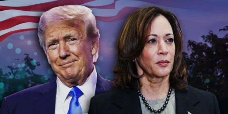 Will results of America's Nov 5 election be delayed by 13 days? This county may hold the key – Firstpost