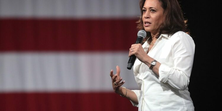 ‘I did the fries’: Kamala Harris again opens up about her work at McDonald’s after Trump called her a liar