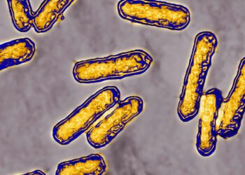 1 infant dies in California, 9 hospitalized across 4 states in latest listeria outbreak in ready-to-eat-meat, poultry