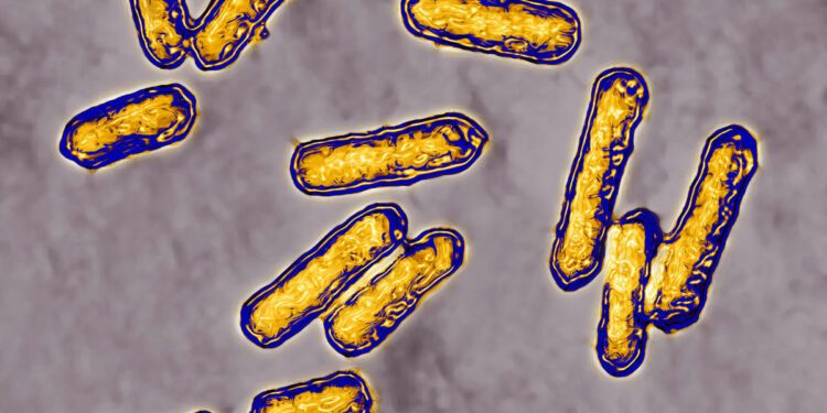 1 infant dies in California, 9 hospitalized across 4 states in latest listeria outbreak in ready-to-eat-meat, poultry