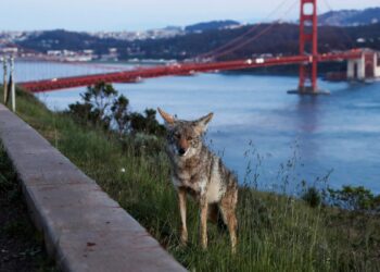 13 CA cities ranked best places to live in the U.S.