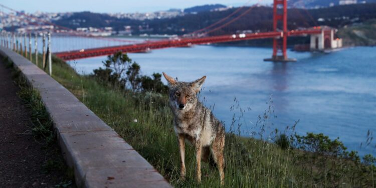 13 CA cities ranked best places to live in the U.S.