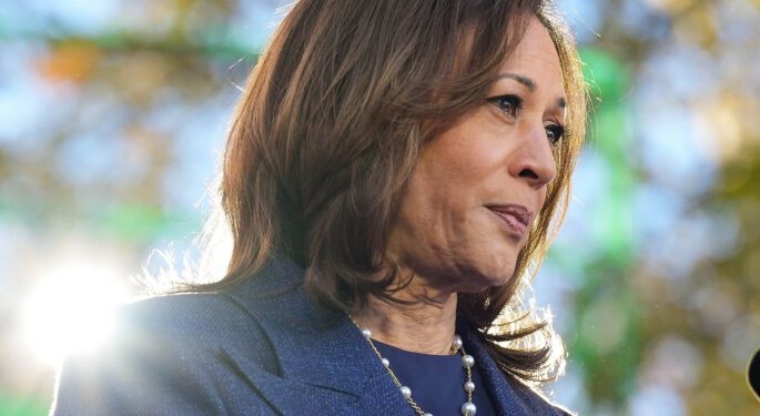 SunLive - America faces deep divide as 2024 election nears