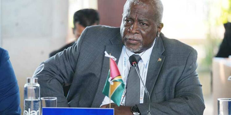 Guyana making steady progress in transition from conventional energy sources