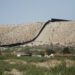 Migrant Deaths on New Mexico Border Rise Tenfold