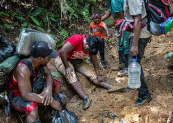 Panama Announces 5000 Dollar Fines For Darien Jungle Migrants