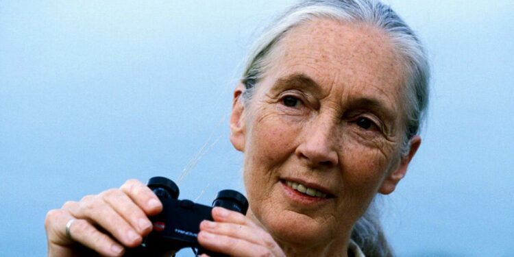 Leading environmentalist praises Bewley's coffee for sustainability projects