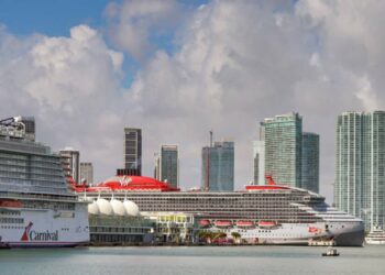 Cruise Ship Bees, Cancelled Sailings and More!