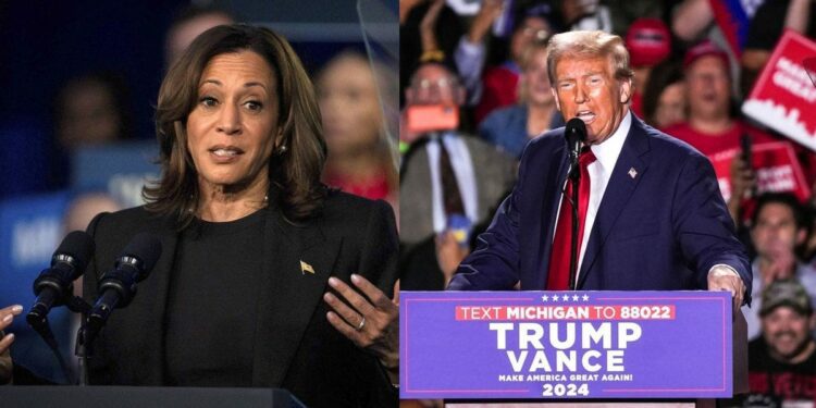 Election 2024: Battleground Arizona weighs choice: Trump or Harris?