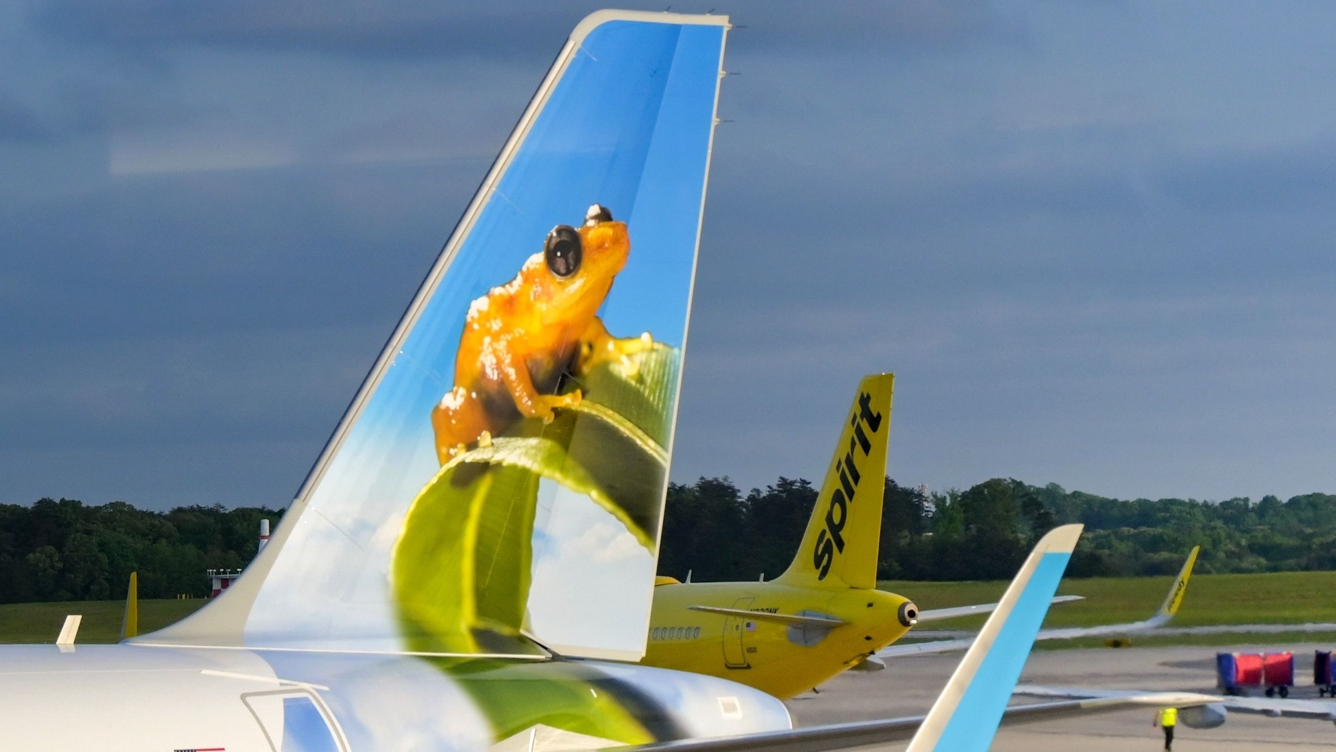 Frontier Airlines aircraft with Spirit Airlines aircraft in the background.