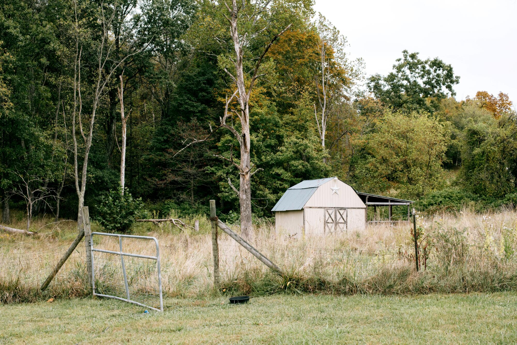 A gate in a wire fence stands open near a shed or small barn.