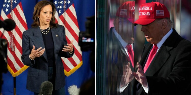 Donald Trump and Kamala Harris in final pitch to US voters after blitzing battleground states | US News