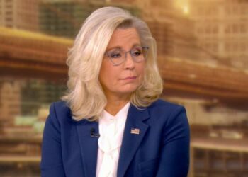 Liz Cheney responds to Trump's violent rhetoric