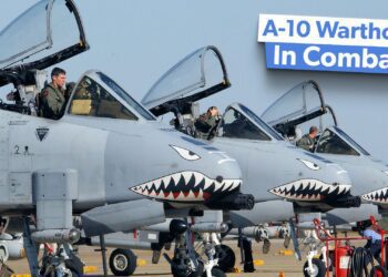 What Is The Combat Record Of The US A-10 Warthog?
