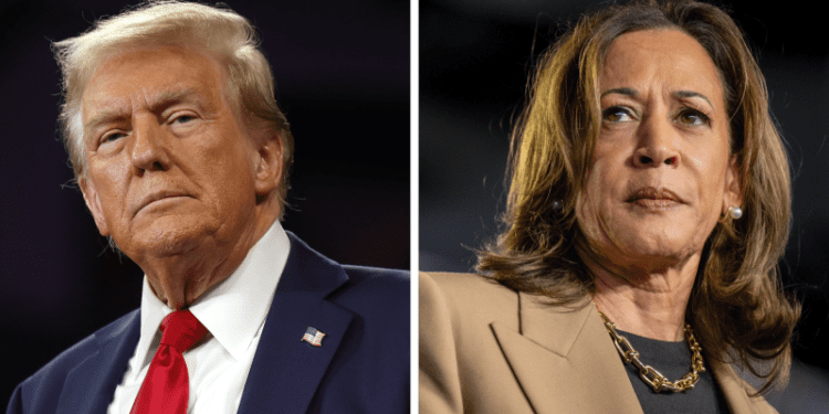 Live updates: 2024 presidential election