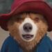 If You Loved Paddington 2, We Have Bear-y Bad News