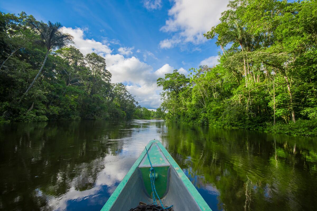 Photo of boat on a river going into Amazon jungles in Cuyabeno National Park, Ecuador.