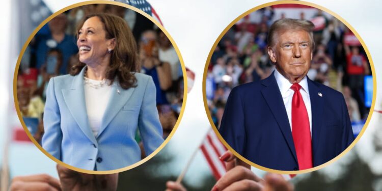 US Election: State-by-State Poll Closing Times And When Results Will Be Announced