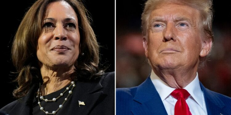 2024 United States presidential election results and updates