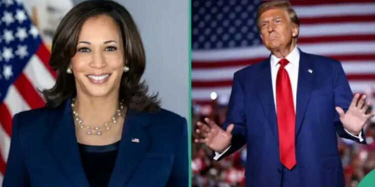 BREAKING: Moment First Results Were Announced in US 2024 Presidential Election