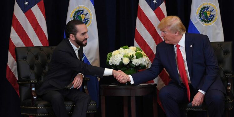 Bukele a Trump: “Felicitaciones al presidente electo de los Estados Unidos de América”
